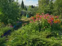 Продам дачу с Кожохово., фотография 4