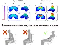Офисное кресло Hara Chair PASCAL ортопедическое Ю.Корея, фотография 5