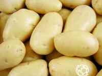 Семена Картофель Баллада 0,02г