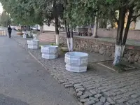 Продажа вазонов