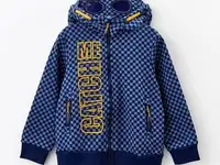 Толстовка playtoday