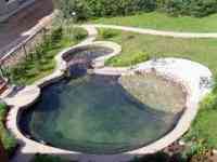 Гидроизоляция искусственных водоемов, фотография 2