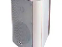 Настенный громкоговоритель dsppa wl313w