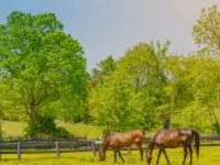 Земля кх 9600 га Караганда, Карагандинская область, фотография 1