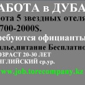 работа в сша, дубаи и турции, фотография 4