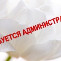 требуется администратор (Закрытый женский центр)