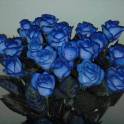 Куплю синие Розы!