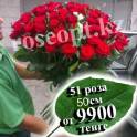 Розы , 51, доставка беслатная