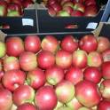 яблоки польские только оптом, фотография 5