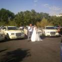 Лимузины, свадебный кортеж, фотография 6