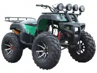 Квадроцикл 250 кубов ( Кардан ), фотография 10