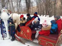 Сани. Дед Мороз на санях, фотография 5