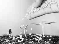 Азофоска НПКГОСт и Некондиция