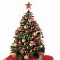 Новогодние елки оптом по СНГ, фотография 2