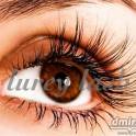 Lurey Lash MD- уникальная американская сыворотка для роста ресниц и бровей