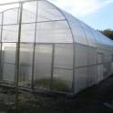Действующий тепличный бизнес, фотография 7