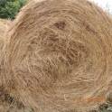 Сено в рулонах, фотография 1