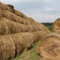Сено в рулонах