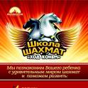 Ваш ребёнок еще не играет в шахматы? - МЫ НАУЧИМ!, фотография 1