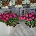 Тюльпаны Голландские к 8-му марту