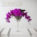 Terra Fiori / Терра Фиори