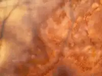 Плиты из оникса для хамама, каминов, обрамления стен, столешниц с подсветкой. Замеры и монтаж, опыт 20 лет, фотография 4