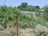 Продам участок в Алматинской области 12 соток., Восточная 194, фотография 2