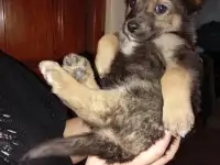 Забери меня к себе, Добрый человек, фотография 4