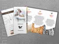 Разработка дизайна всех видов, фотография 8