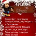 Ведущий на новый год и куча приятных бонусов в одном пакете услуг!