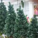 Купить елки в Алматы, фотография 2