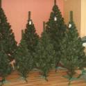Купить елки в Алматы