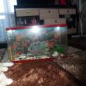 продаётся аквариум 30 литров, фотография 10