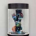 Невероятно красивый цилиндрический аквариум 150л, фотография 3