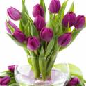 Тюльпаны к 8 марта!, фотография 3
