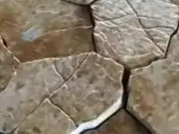 Ищу компаньона или инвестора, фотография 8