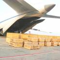 ГРУЗОВЫЕ АВИАПЕРЕВОЗКИ ПО ВСЕМУ МИРУ. САМЫЕ НИЗКИЕ ТАРИФЫ. ЗВОНИ!!! , фотография 3