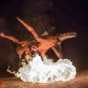 Световое  и огненное шоу Adrenaline , фотография 7