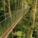 Веревочные парки/канатные мосты от производителя