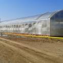Производство и установка теплиц, фотография 6