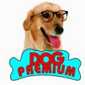 Ветеринарная клиника Dog Premium на Зимней улице 