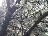 Продается частный газиф дом в районе Переметное, фотография 7