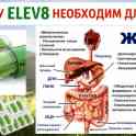 Витамины ELEV8 ACCELER8 GR8, фотография 2