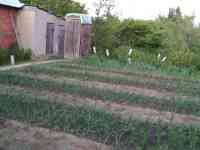 Продам дачу, с/о Урал, за понтонным мостом, фотография 4