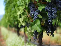 Сульфат Калия в наличии и под заказ, фотография 8