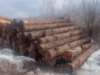 продажа лиственницы и сосны, фотография 4