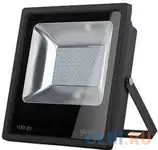 Прожектор светодиодный gauss 100w 613100100
