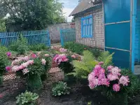 Продам дачу остановка поворотная, фотография 2