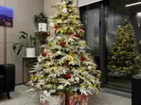 Ёлки в аренду  Ёлки в прокат, фотография 4