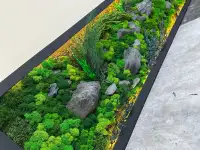 Живые картины, панно, декор из мха в Алматы., фотография 5